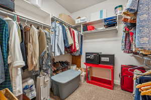 Spacious closet with light carpet