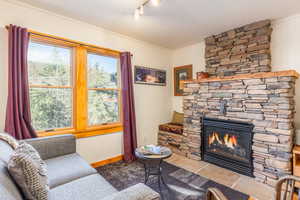 Living room featuring crown molding, a fireplace, and track lighting