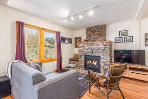 Living room featuring a fireplace, hardwood / wood-style flooring, track lighting, and ornamental molding