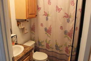 Bathroom featuring vanity and toilet