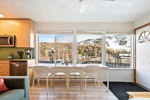 Interior space with a mountain view, ceiling fan, a healthy amount of sunlight, and a baseboard radiator