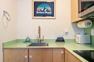 Kitchen with black electric stovetop and sink