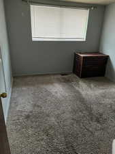 Unfurnished room with a wealth of natural light and carpet