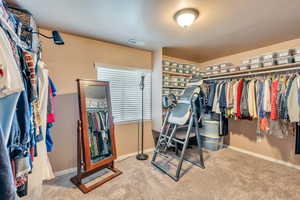 Walk in closet featuring carpet floors