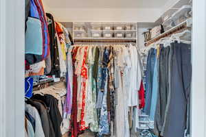 Walk in closet featuring carpet flooring