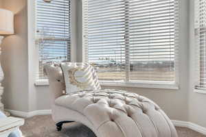 Living area featuring carpet flooring