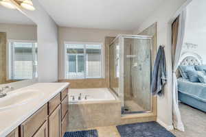 Bathroom with vanity, a healthy amount of sunlight, and shower with separate bathtub