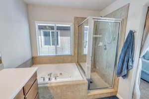 Bathroom with vanity and independent shower and bath