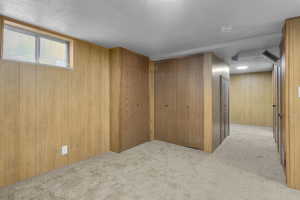 Basement featuring a textured ceiling, light carpet, and wood walls