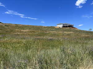 View of local wilderness with a rural view