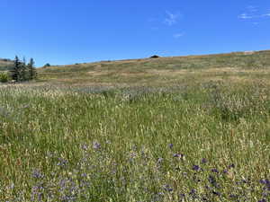 View of nature featuring a rural view