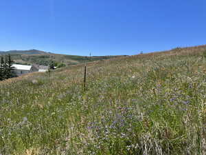 View of yard featuring a mountain view and a rural view