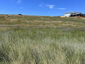 View of landscape with a rural view