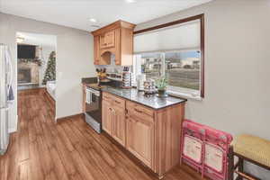 Kitchen featuring a fireplace, light wood-type flooring, stainless steel appliances, and dark stone countertops