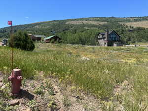 View of yard featuring a mountain view and a rural view