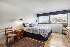 Bedroom with a mountain view, light hardwood / wood-style floors, crown molding, and a textured ceiling