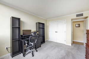 Office area with light carpet and ornamental molding