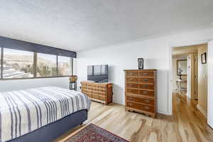 Bedroom featuring a mountain view, a textured ceiling, light hardwood / wood-style flooring, and crown molding