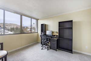 Office space featuring a mountain view, light carpet, and a textured ceiling