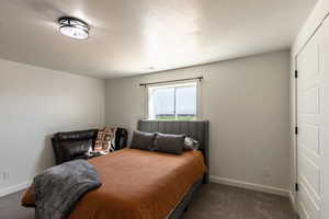 Carpeted bedroom with a textured ceiling