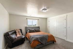 Carpeted bedroom with a closet and a textured ceiling