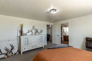 Carpeted bedroom featuring ensuite bathroom, sink, and a textured ceiling