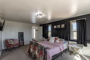 Bedroom featuring carpet and a textured ceiling