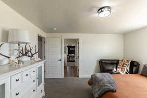 Carpeted bedroom with a textured ceiling