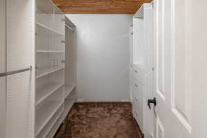 Spacious closet with dark colored carpet