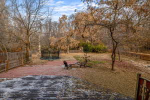 View of yard with a patio and a trampoline