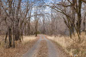 View of road