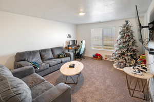 Carpeted living room featuring a textured ceiling