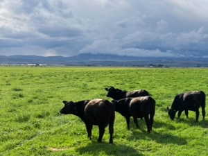 Exterior space with a rural view