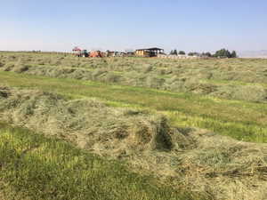 View of nature with a rural view