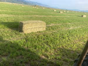 View of yard featuring a rural view