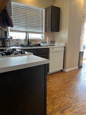 Kitchen featuring dishwasher, a healthy amount of sunlight, stainless steel gas cooktop, and light hardwood / wood-style flooring