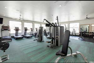 Exercise room featuring carpet flooring, ceiling fan, and a healthy amount of sunlight