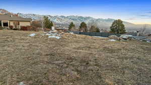 View of yard with a mountain view