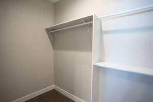 Walk in closet with carpet flooring