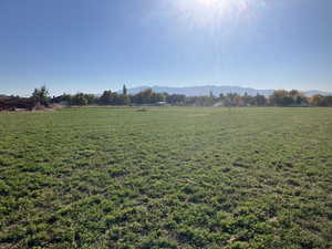 View of yard with a mountain view and a rural view