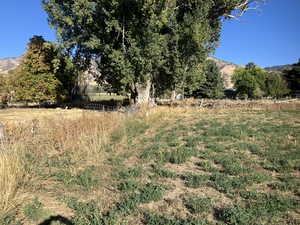 View of yard featuring a mountain view and a rural view