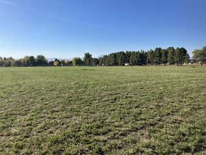 View of yard with a rural view