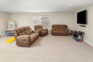 Living room featuring light carpet