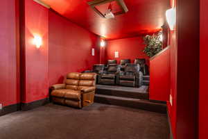 Cinema room with carpet flooring