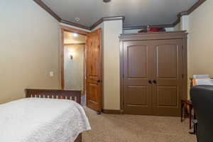 Bedroom featuring carpet floors, a closet, and crown molding