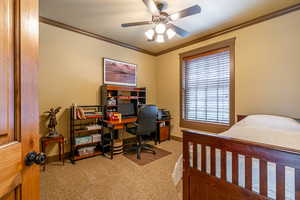 Bedroom with ceiling fan, carpet, and ornamental molding