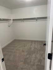 Walk in closet featuring carpet floors