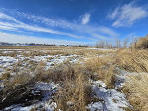 View of snowy landscape