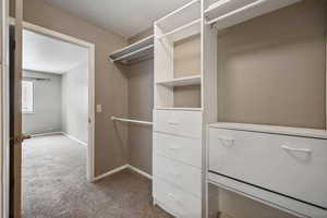 Walk in closet with carpet floors