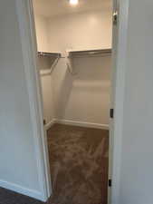 Spacious closet featuring dark colored carpet